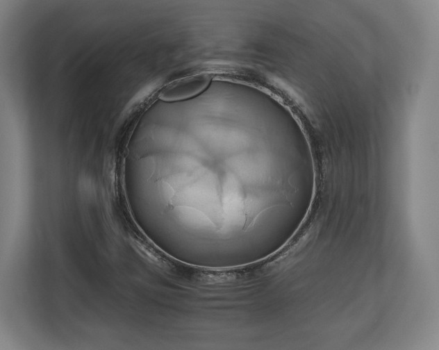 X0000110971403200906261358