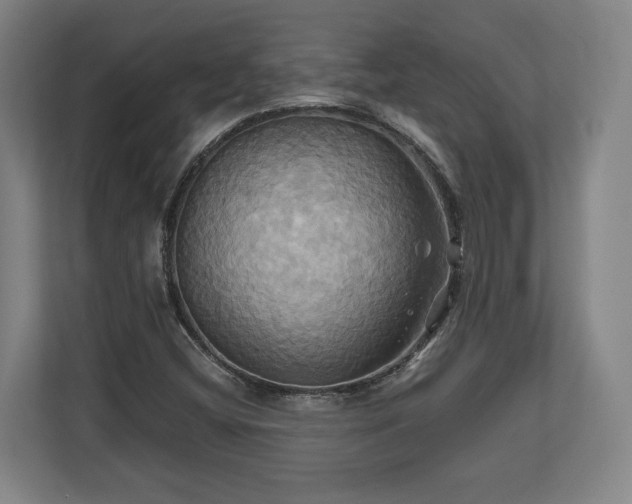 X0000110971404200906261358