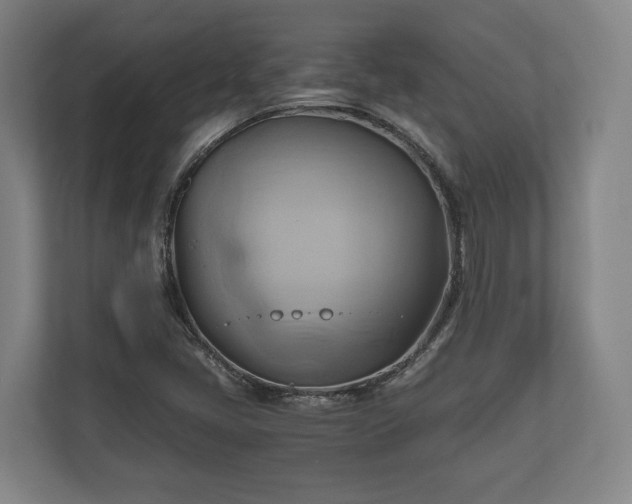 X0000110971405200906261358