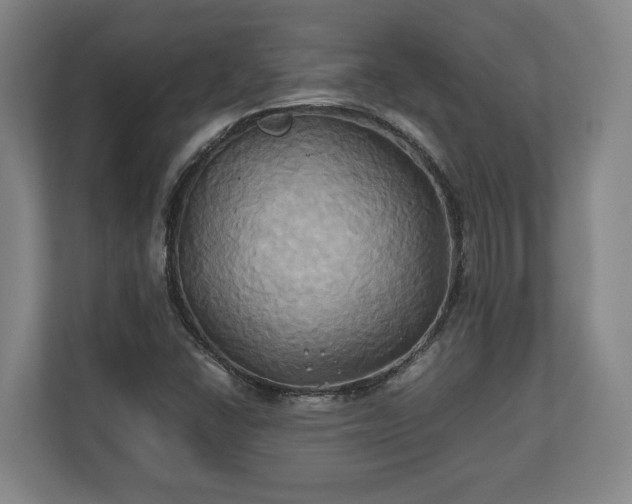 X0000110971406200906261358