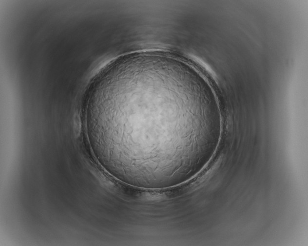 X0000110971407200906261358