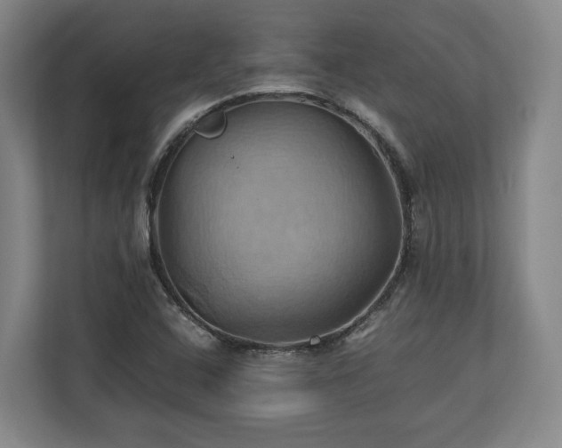 X0000110971408200906261358