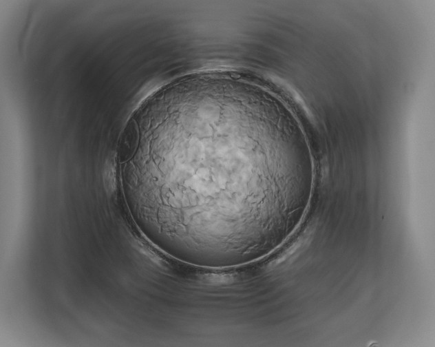 X0000110971409200906261358