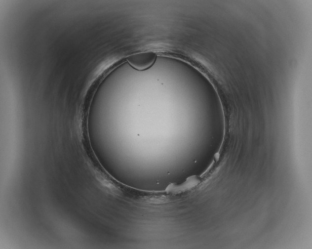 X0000110971410200906261358