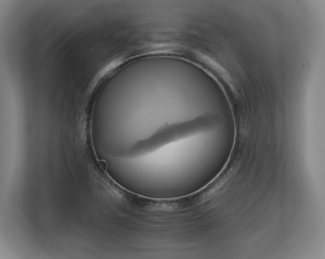 X0000110971411200906261358