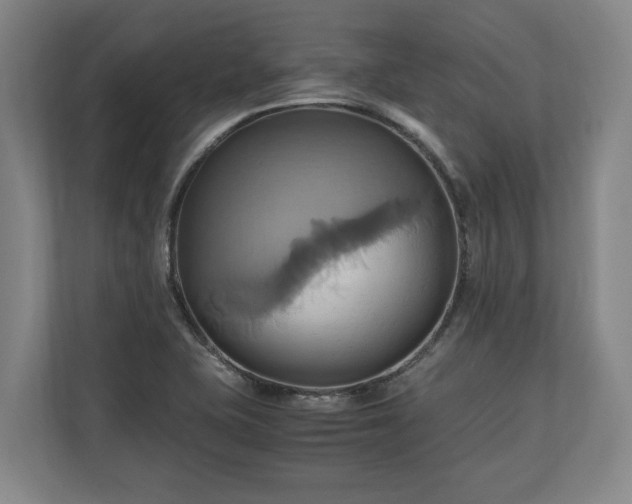 X0000110971415200906261358