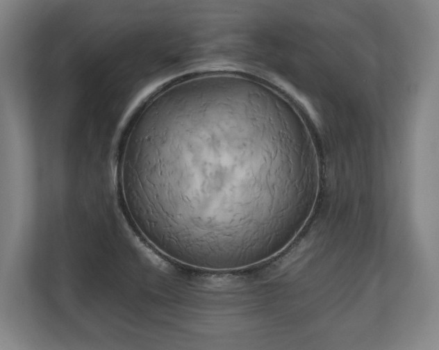 X0000110971416200906261358