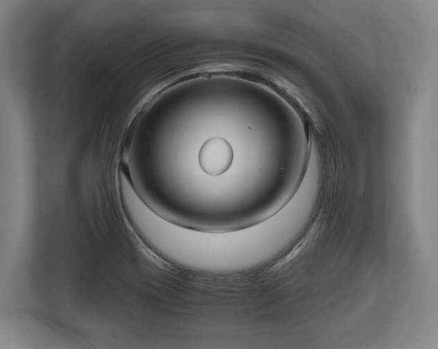 X0000110971417200906261358