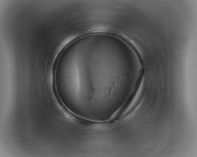 X0000110971418200906261358