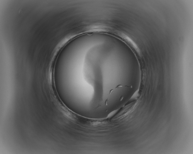 X0000110971419200906261358