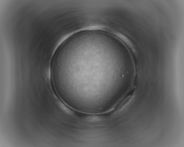 X0000110971420200906261358