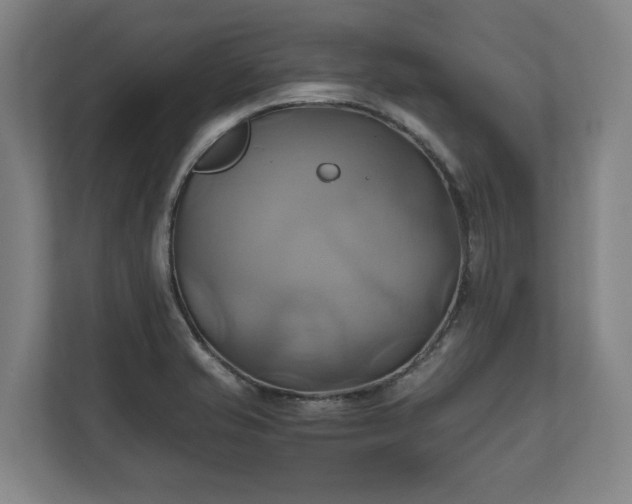 X0000110971421200906261358