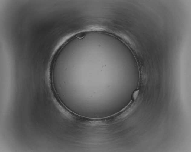 X0000110971422200906261358