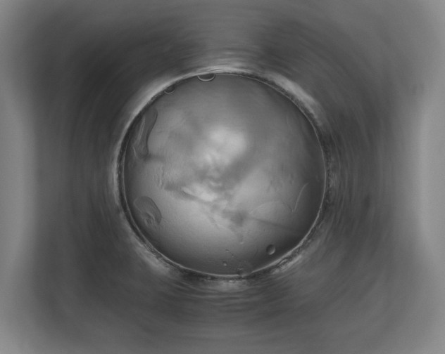 X0000110971423200906261358