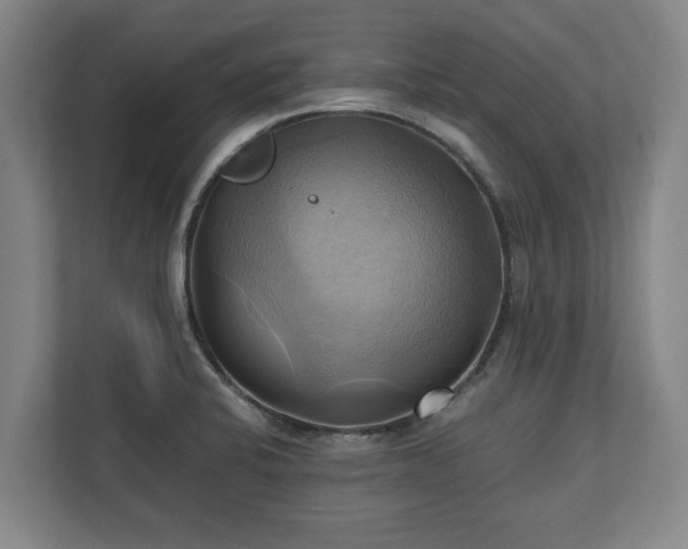 X0000110971424200906261358