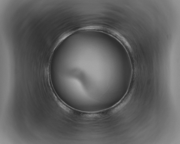 X0000110971425200906261358