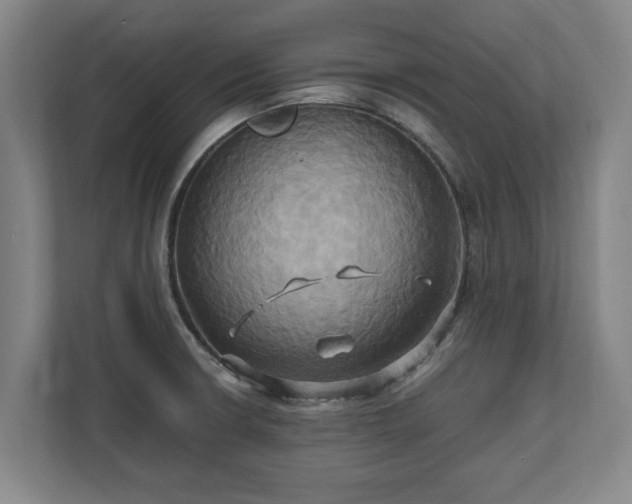 X0000110971426200906261358