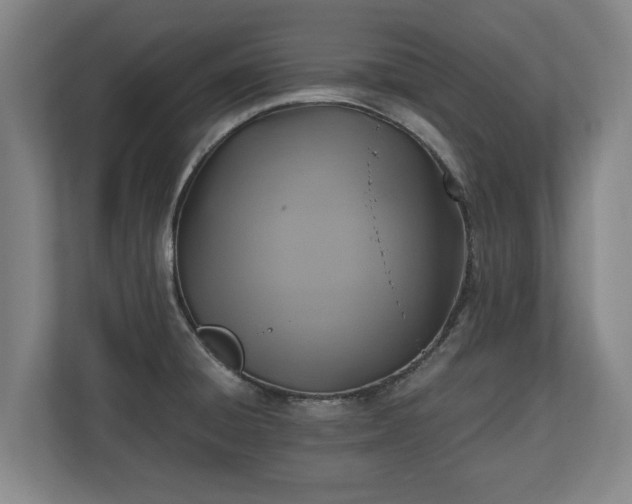 X0000110971428200906261359