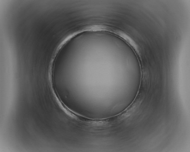 X0000110971429200906261359