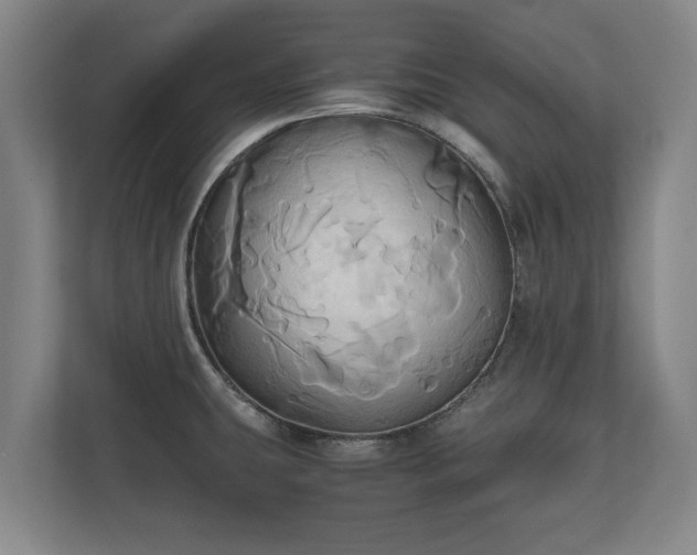 X0000110971431200906261359