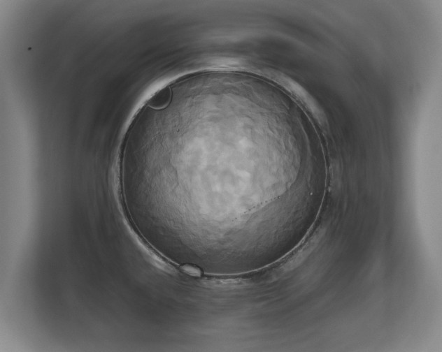 X0000110971432200906261359