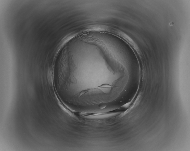 X0000110971433200906261359