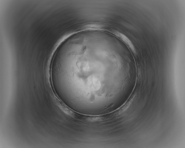 X0000110971435200906261359