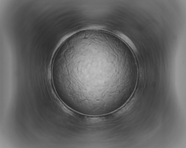 X0000110971436200906261359