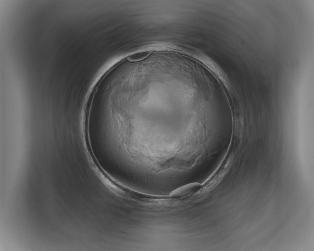 X0000110971438200906261359