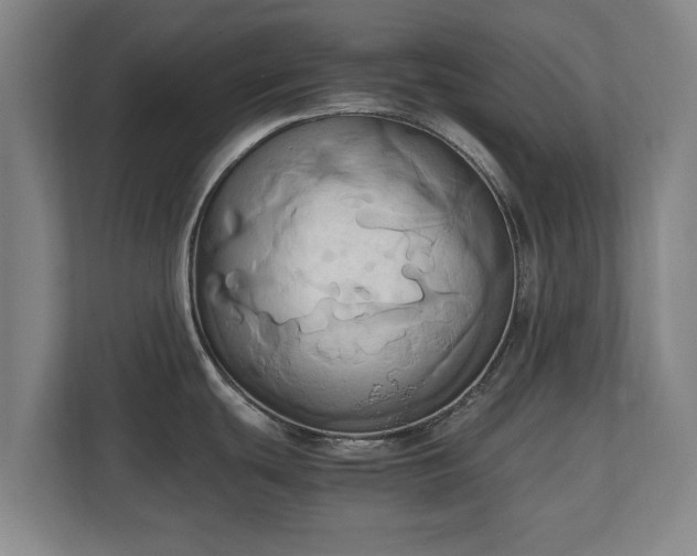 X0000110971439200906261359