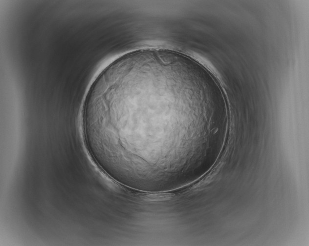 X0000110971440200906261359