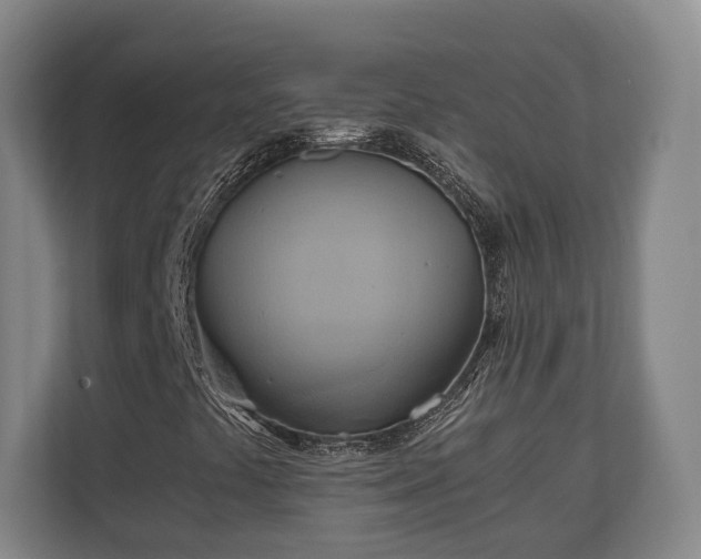 X0000110971441200906261358