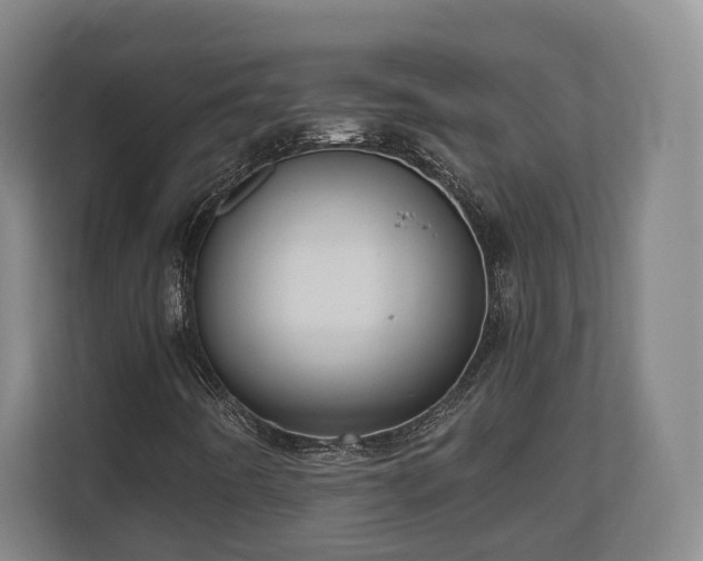 X0000110971442200906261358