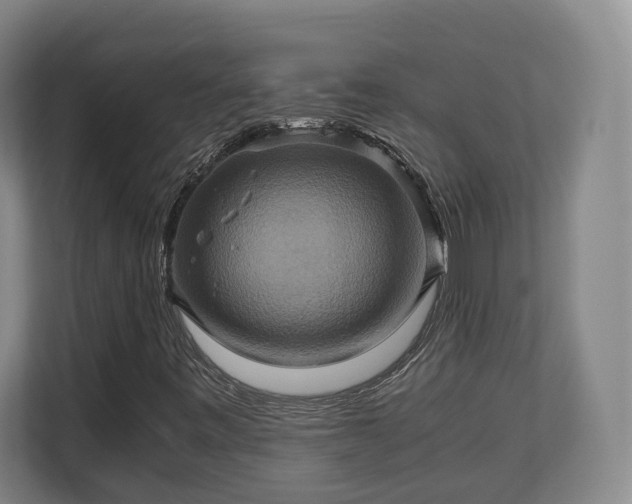 X0000110971443200906261358