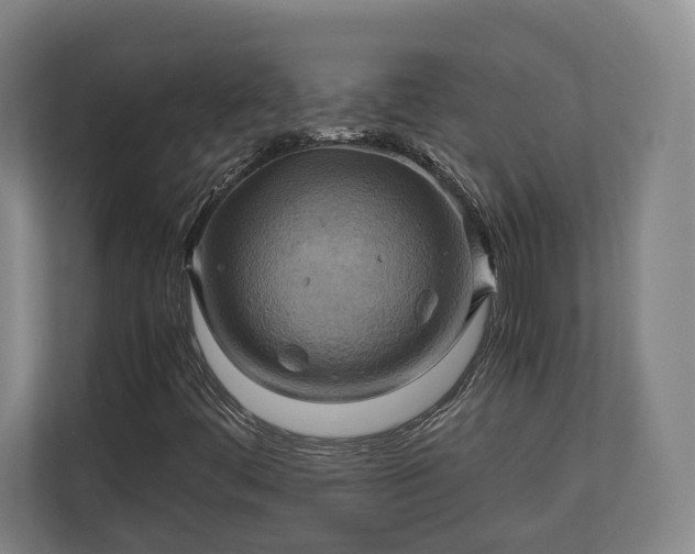 X0000110971444200906261358