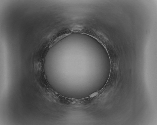 X0000110971445200906261358