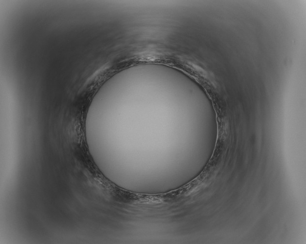 X0000110971446200906261358