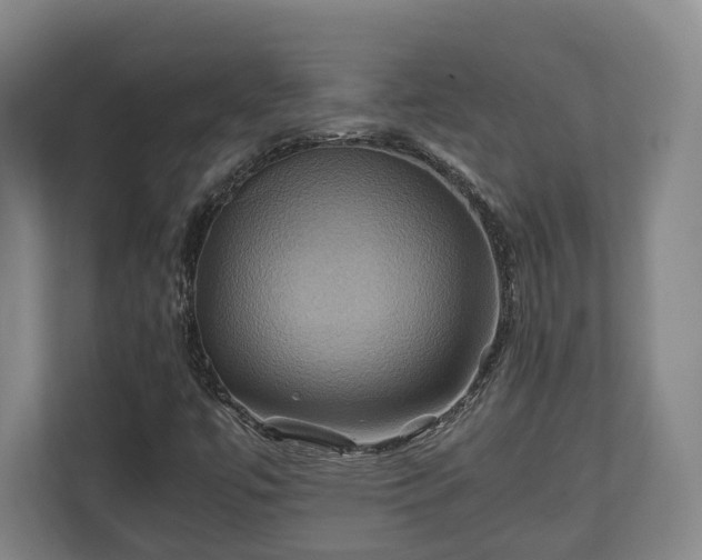 X0000110971447200906261358