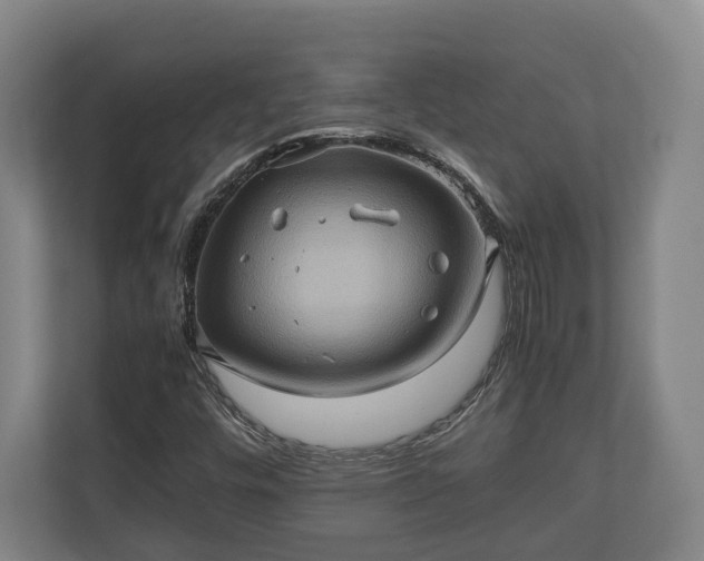 X0000110971448200906261358