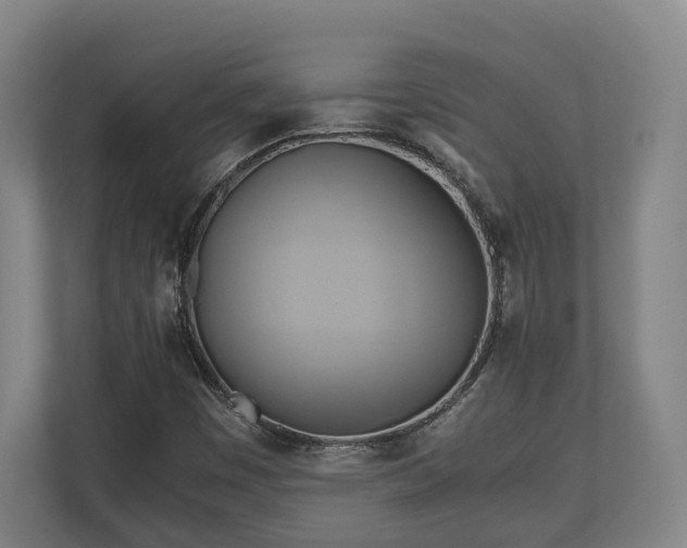 X0000110971449200906261358