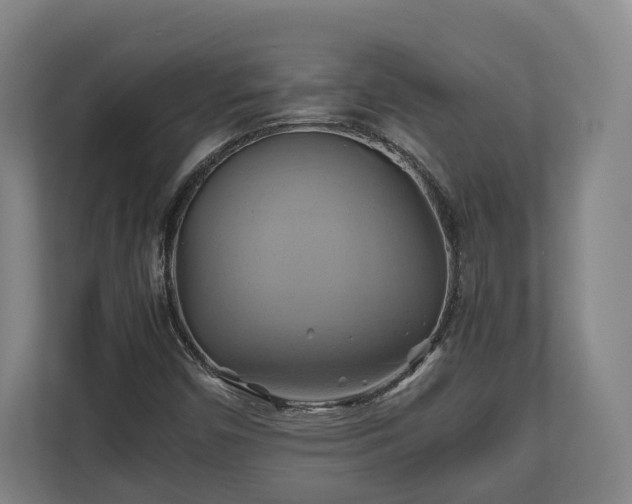 X0000110971450200906261358