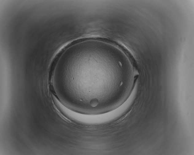 X0000110971452200906261358