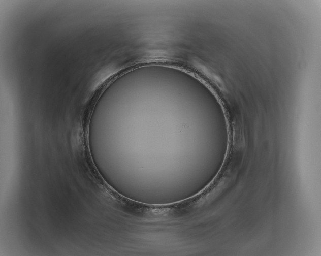 X0000110971453200906261358