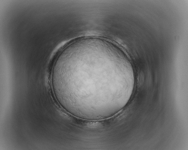 X0000110971454200906261358