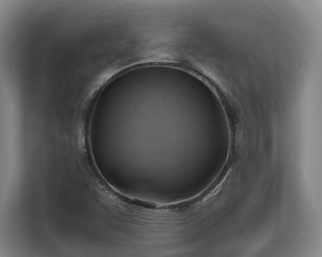 X0000110971455200906261358