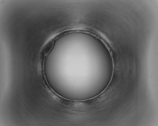 X0000110971456200906261358