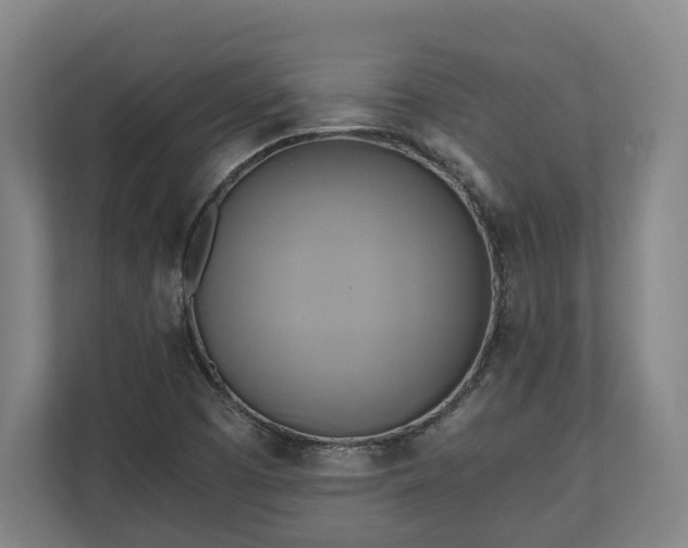 X0000110971457200906261358