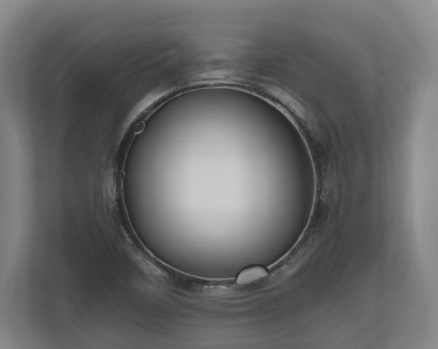 X0000110971458200906261358