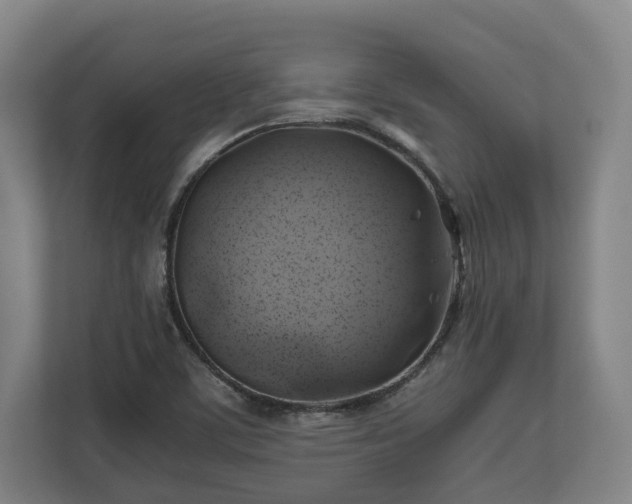 X0000110971459200906261358