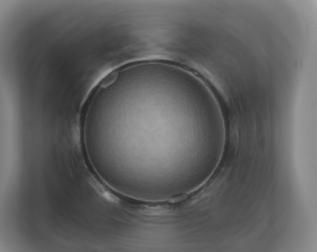 X0000110971460200906261358